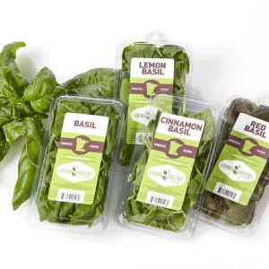 Prod-food-Basil group-29359-2000