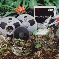 Animal-3M-snake 2000