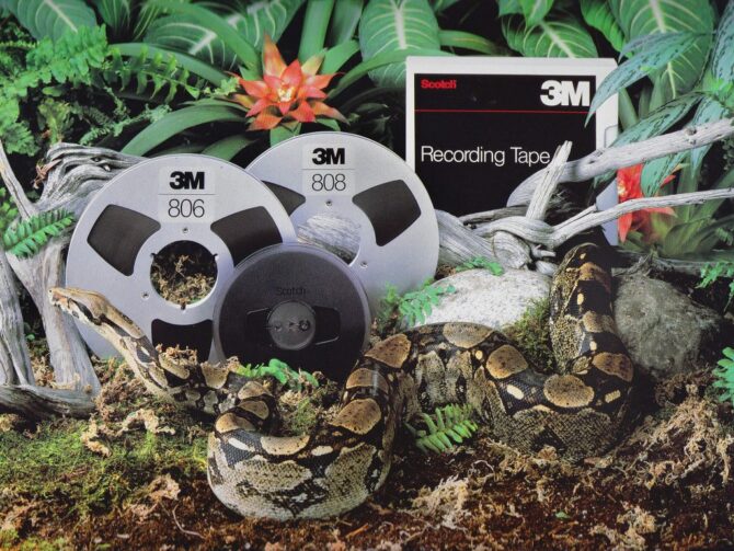 Animal-3M-snake 2000